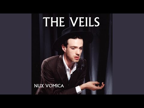 A Birthday Present - The Veils