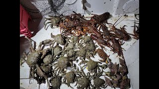 BADA.TV 바다티비