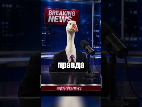 Фейк о Северной Корее