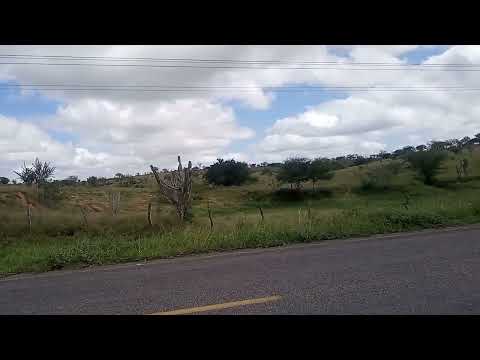 Quase  chegando  em   São  José  do  Jacuipe-   BA