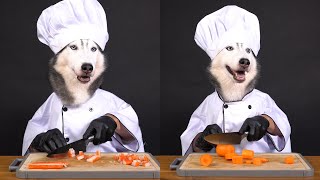 Husky Cooking / ASMR COOKING / HOW TO COOK SEAFOOD FRUIT ROLLS