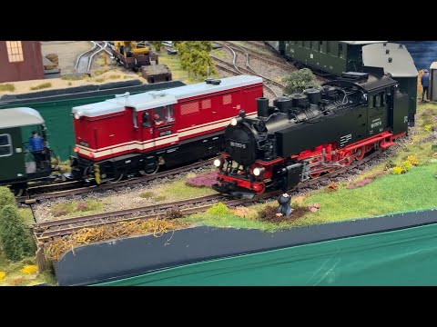 LGB Faur diesel loco and steam engine 99.17 on a great G scale model railway layout.
