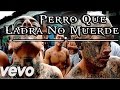 AvernoMX // Perro que ladra no muerde // ( VIDEO ...
