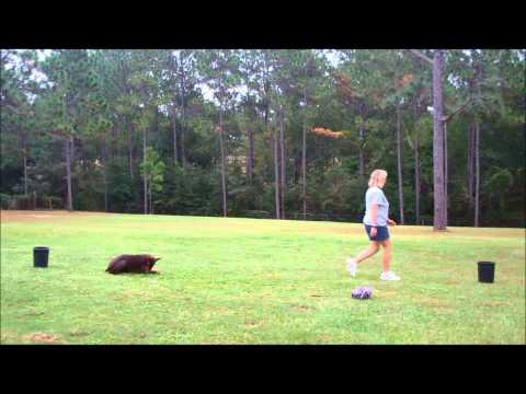 Fi SB 2 Stays 10 9 13