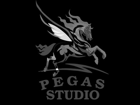 Pegas Studio Photo&Video, відео 9