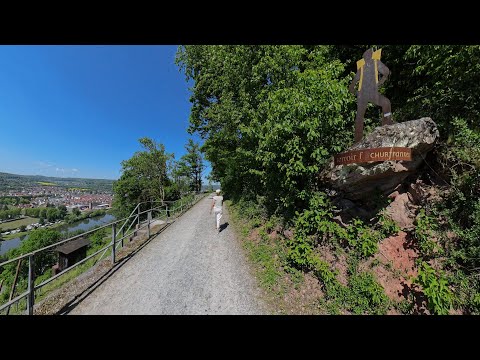 🍇 Fränkischer Rotwein Wanderweg - Abschnitt Klingenberg nach Erlenbach