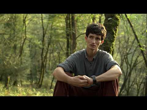 The Hyrcanian Forest – Guardians of the Forest