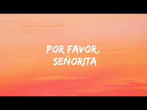 Felix Jaehn, The Stickmen Project & Calum Scott - Rain In Ibiza (Lyrics)