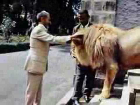 Freestyle - Oskr T - Imosa - Selaso