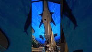 Msc World Europa 2025 Galleria ledwall show 💙 #mscworldeuropa #mscworldeuropa2025