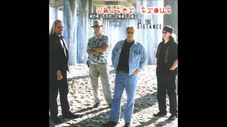 Walter Trout - Lookin' for the promised land