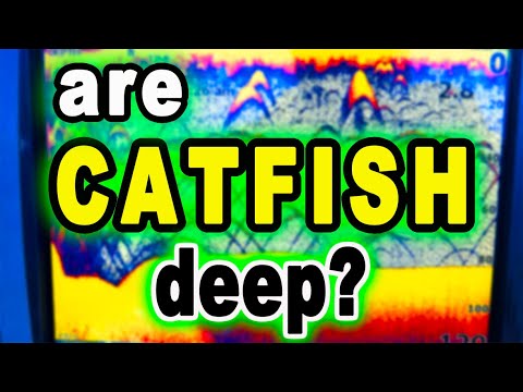 How Deep are Summer Catfish Right Now