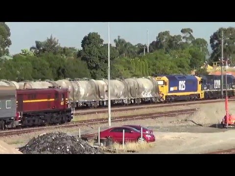 PACIFIC NATIONAL CEMENT TRAIN=TELARAH.