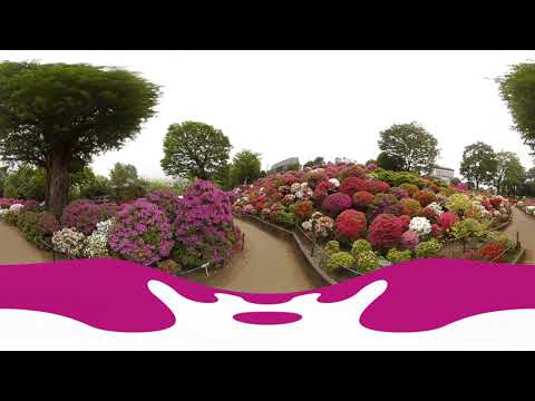 自宅で文京区VR旅行　根津神社