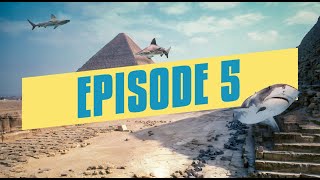 احمد شعبان صاحب شركه