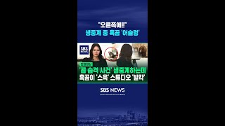 썸네일 이미지