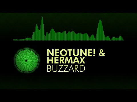 [Future House] NeoTune! & Hermax - Buzzard