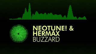 [Future House] NeoTune! & Hermax - Buzzard