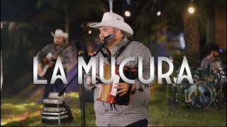 Legaddo Ft Los Tesoros De Javi | La Mucura | LIVE