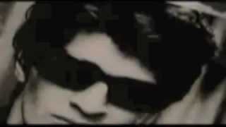 My Way Herman Brood 7/11