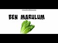 Ben Marul Ben Marulum Ben Marul Ben Marul D