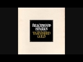Beachwood Sparks - Tarnished Gold