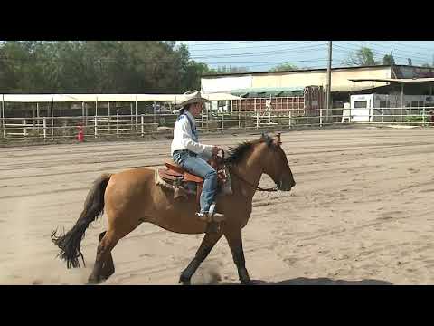 Cam1 Catalina Campos:Murtillano: Amateur r 4