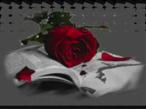 dj ferit ohne dich remix