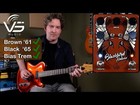 VS Audio BlackBird Deluxe Preamp + bias Vibrato image 5