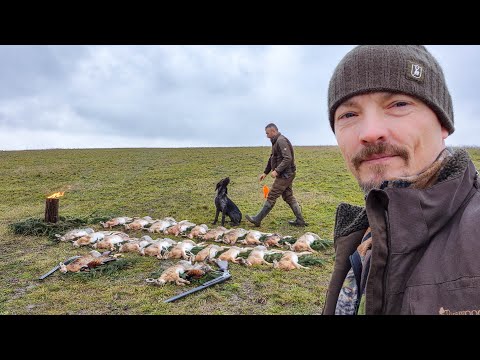 Vânătoare la iepuri