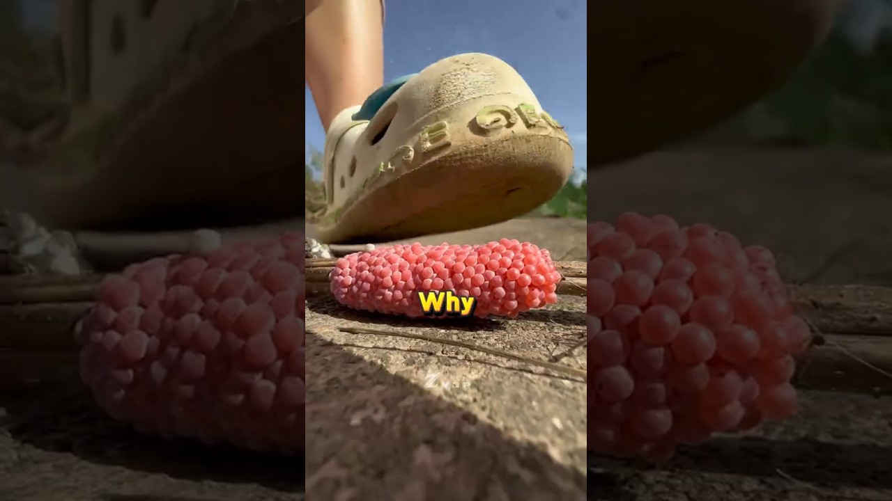 이 빨간 공을 부수세요