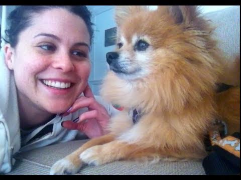 Jerusha Blog's: Save a Puppy!!