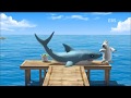 Backkom S02E01 Bear Berni 3D Cartoon Funny For Kids Use Fishing Tails