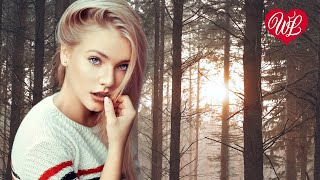 ГДЕ РАССВЕТ КОНЧАЕТСЯ ♥ ЛЕГЕНДАРНЫЕ ХИТЫ ШАНСОНА ♥ РУССКИЙ ШАНСОН WLV