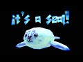 it's a seal!