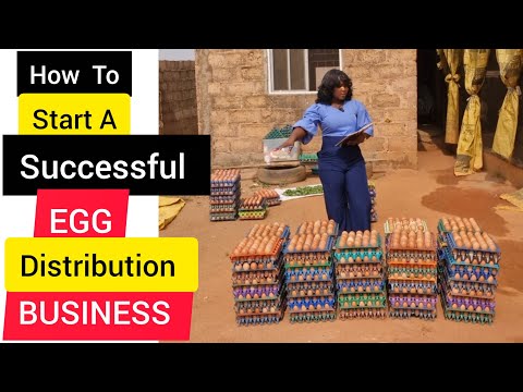 How to Start a Profitable Egg Distribution Business | Step-by-Step Guide for Beginners