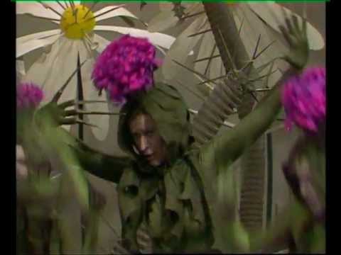 Neca Falk - Rad imej (živali in cvetlice)