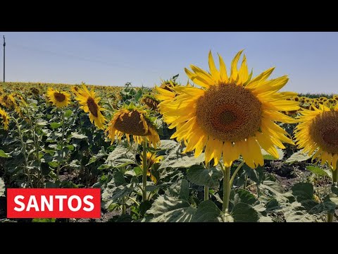 AGROČAS 10. JUL 2021.