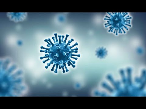 April 22 2020 News Update for Northwestern Ontario