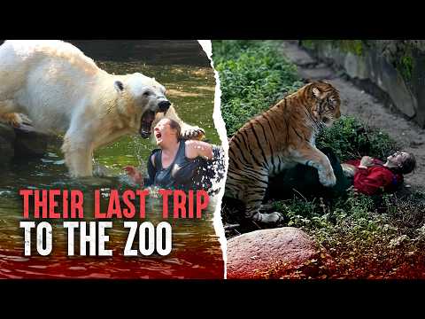 The Deadliest Zoo Attacks: When Animals Bite Back
