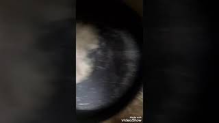 طريقه عمل كنافه المج والنتيجه روعه