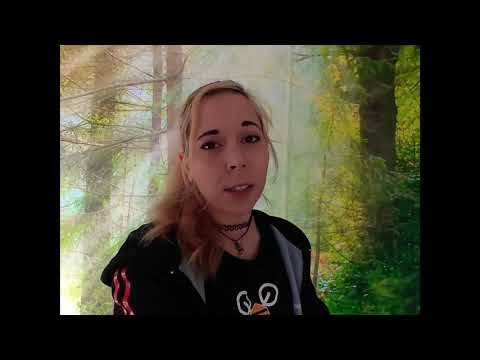 The BEST PROP EVER: GemFan Windancer 51433