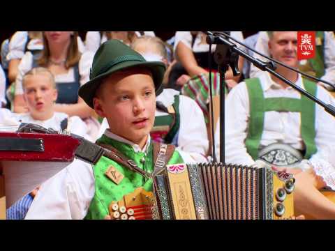 7 auf einen Streich/Niederösterreich: Hinter da Hollerstauden