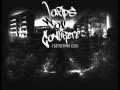 Words of concrete - asphaltierte probleme ft ...