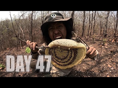 Survive DAY 47 Dessert from the Teng Rang forest.. [ Cao Cao ]