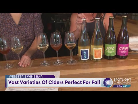 Vast Varieties Of Ciders Perfect For Fall With Webster's Wine Bar