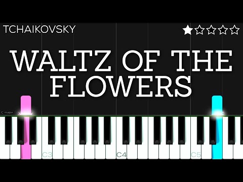 Tchaikovsky - Waltz of the Flowers | EASY Piano Tutorial