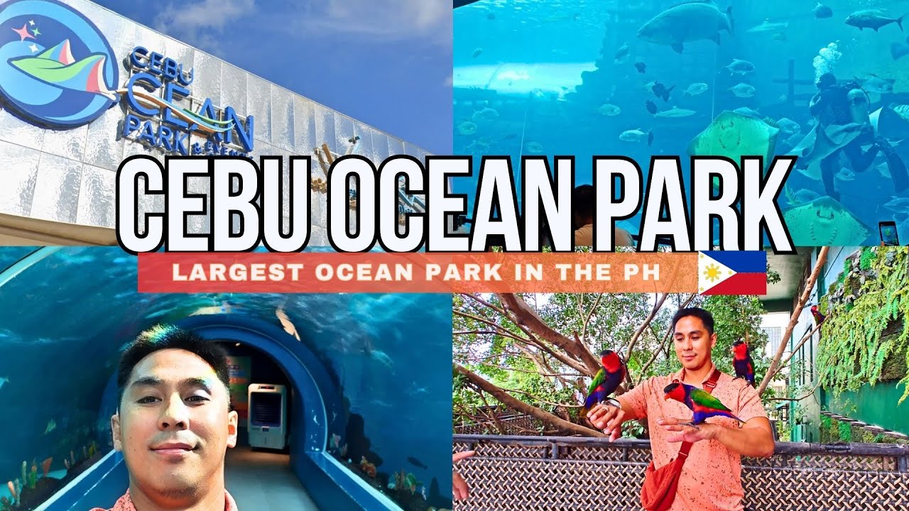 Embark on a mesmerising virtual tour of Cebu Ocean Park.