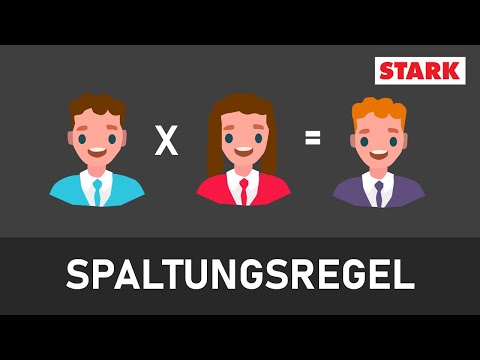 2. Mendel'sche Regel | Spaltungsregel | mit Verständnisaufgabe [STARK]