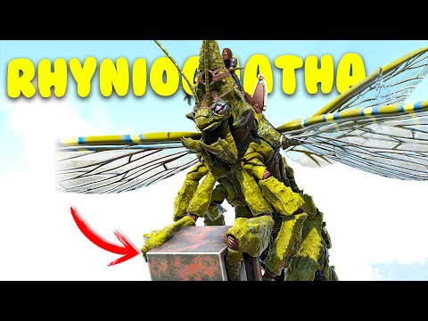 HOW TO TAME A RHYNIOGNATHA AND ALL ITS ABILITIES - ARK